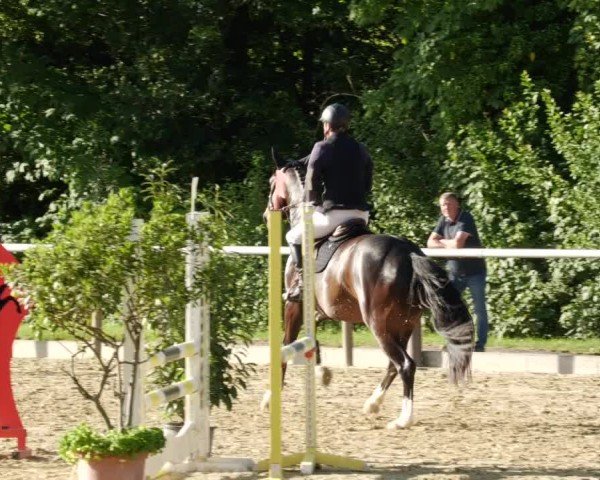 Reitturnier Winnenden 2024