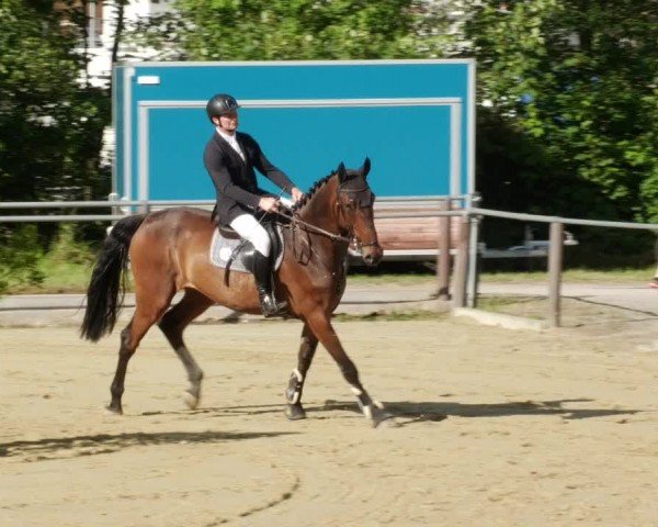 Reitturnier Winnenden 2024