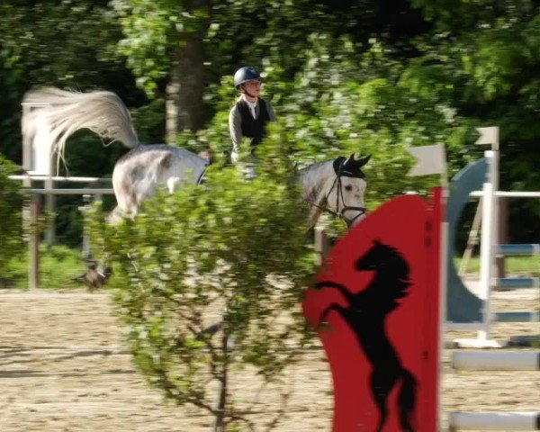 Reitturnier Winnenden 2024