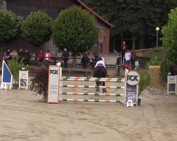 Reitturnier Schönfeld 2024