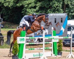 jumper Centara 4 (Holsteiner, 2013, from Carry)