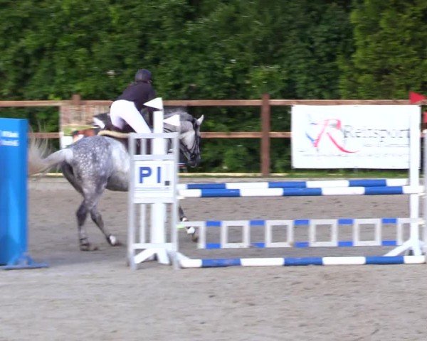 Reitturnier Sörup 2024