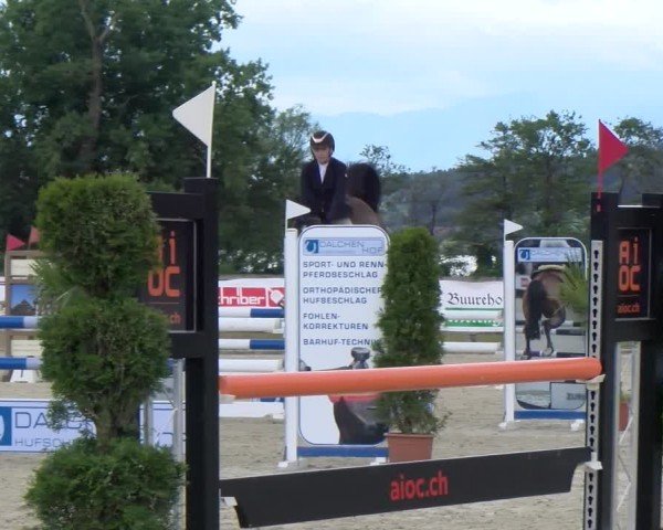 Reitturnier Hitzkirch 2024