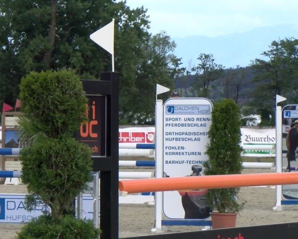 Reitturnier Hitzkirch 2024