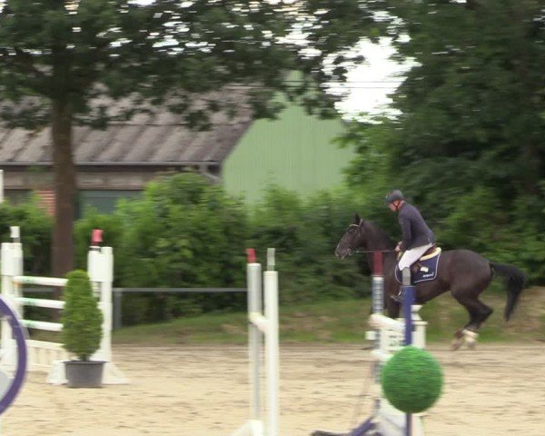 Reitturnier Fröndenberg 2024