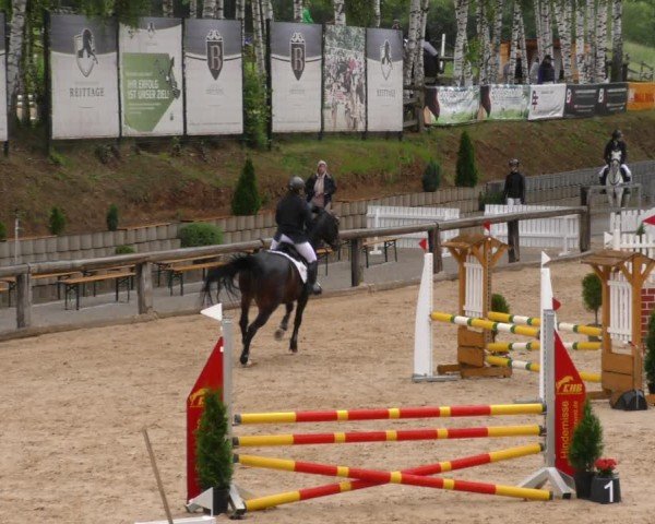 Reitturnier Berching/Opf. 2024