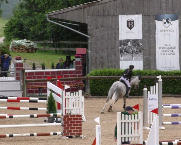 Reitturnier Berching/Opf. 2024