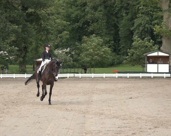 Reitturnier Nörten-Hardenberg 2024