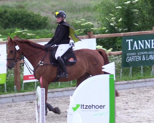 Reitturnier Sörup 2024