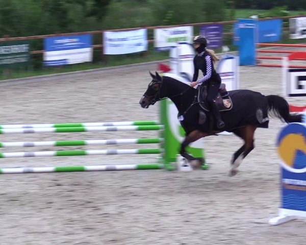 Reitturnier Sörup 2024