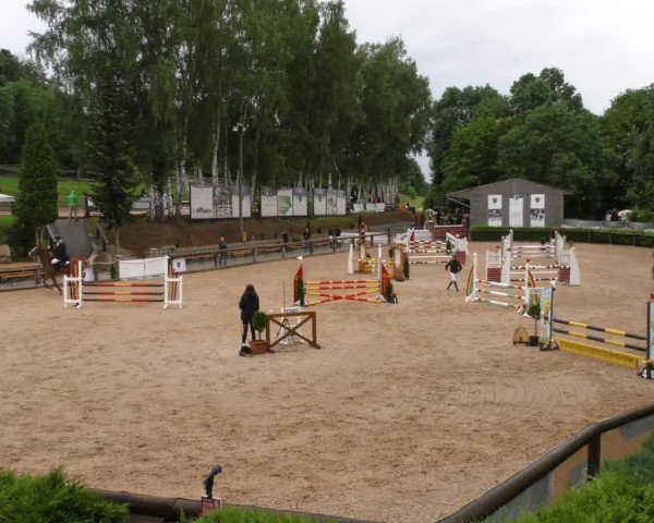 Reitturnier Berching/Opf. 2024