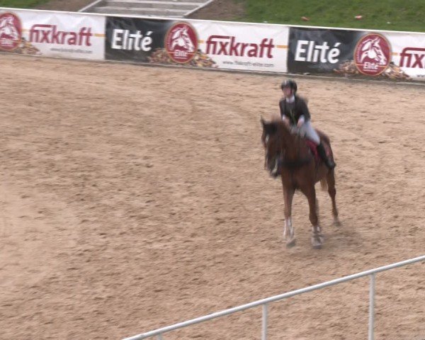 Reitturnier Stadl-Paura 2024