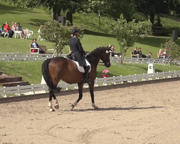 Reitturnier Nörten-Hardenberg 2024