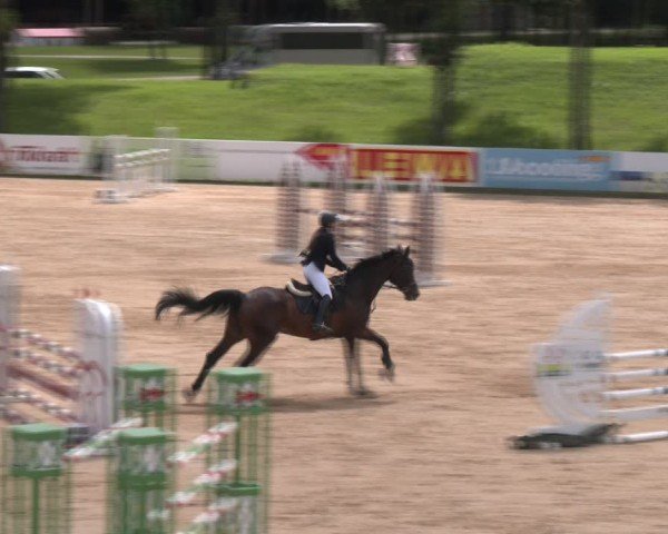 Reitturnier Stadl-Paura 2024