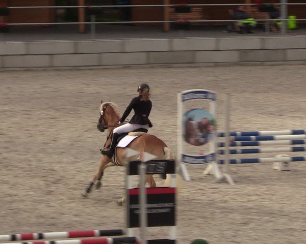 Reitturnier Dorfchemnitz 2024
