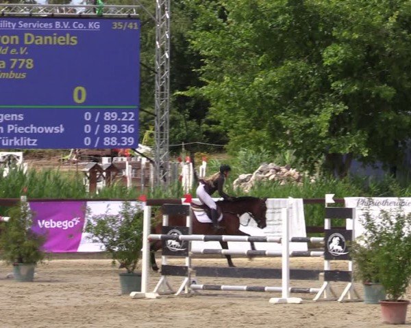 Reitturnier Schönfeld 2024