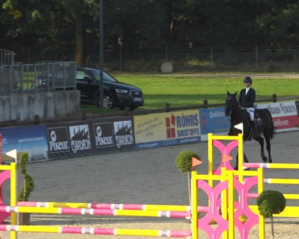 Reitturnier Westergellersen 2021