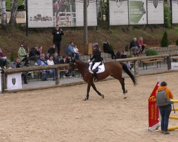 Reitturnier Berching/Opf. 2024