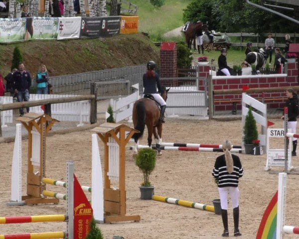 Reitturnier Berching/Opf. 2024