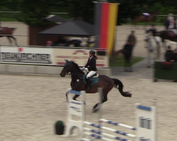 Reitturnier Dorfchemnitz 2024