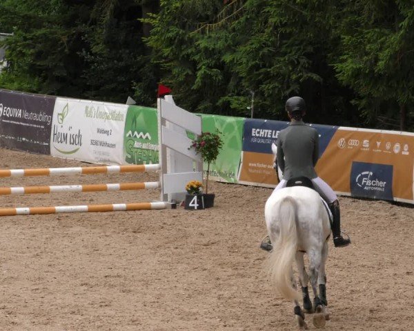 Reitturnier Berching/Opf. 2024