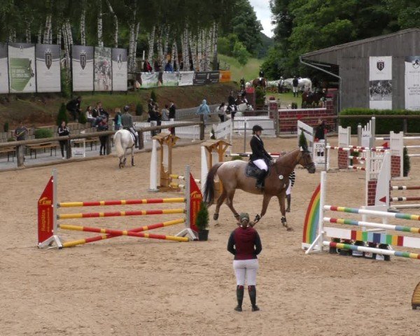 Reitturnier Berching/Opf. 2024
