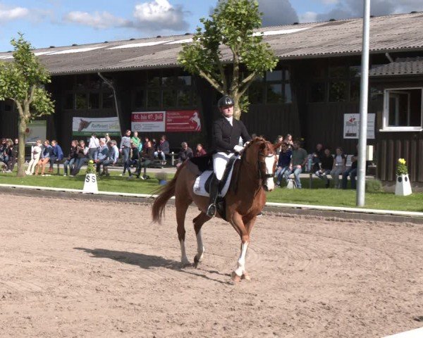 Reitturnier Fröndenberg 2024