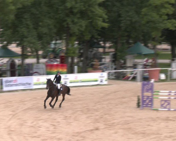 Reitturnier Stadl-Paura 2024