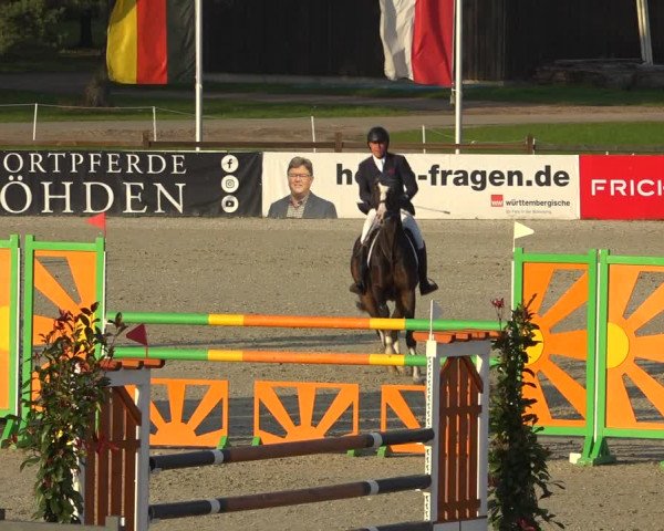 Reitturnier Westergellersen 2021