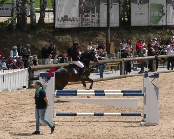 Reitturnier Berching/Opf. 2024