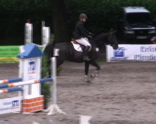 Reit- und Springturnier des LRFV Recklinghausen e.V. vom 23.-26.08.2012