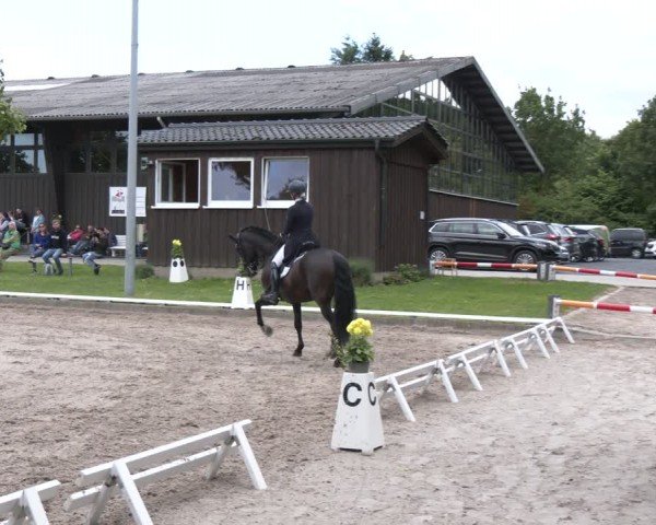 Reitturnier Fröndenberg 2024