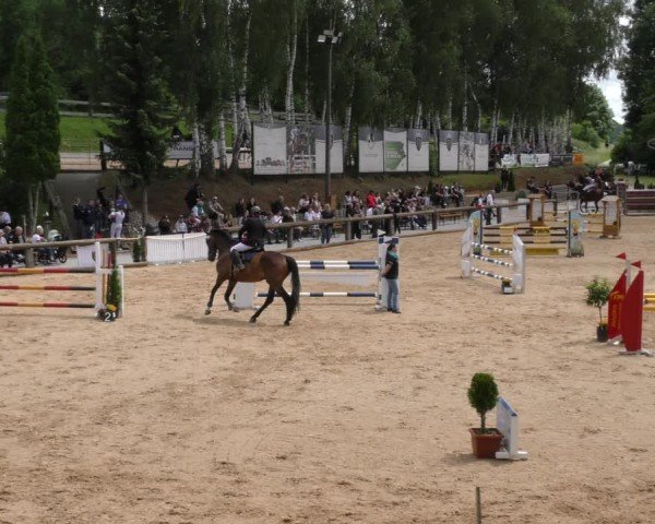 Reitturnier Berching/Opf. 2024
