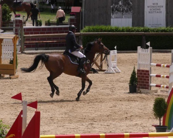 Reitturnier Berching/Opf. 2024