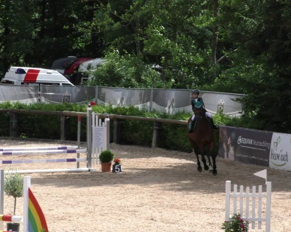 Reitturnier Berching/Opf. 2024