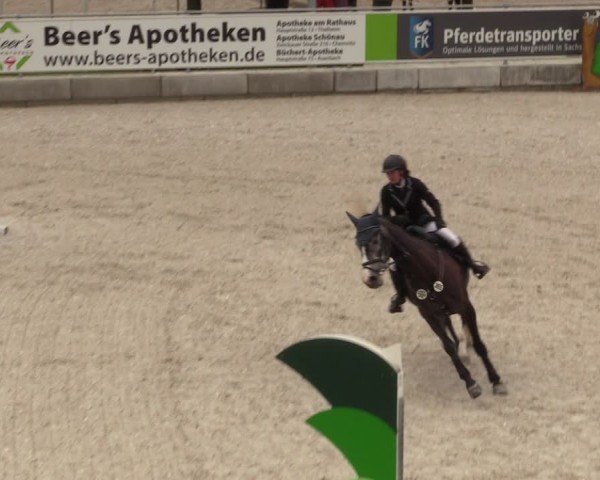 Reitturnier Dorfchemnitz 2024