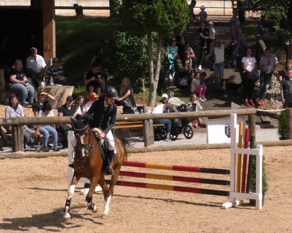 Reitturnier Berching/Opf. 2024