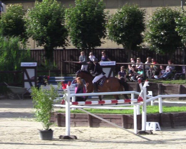 Reitturnier Schönfeld 2024