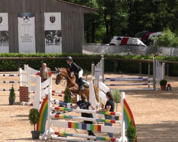 Reitturnier Berching/Opf. 2024