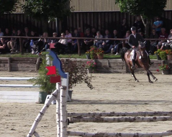 Reitturnier Schönfeld 2024
