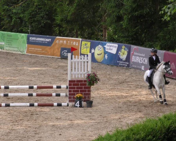 Reitturnier Berching/Opf. 2024