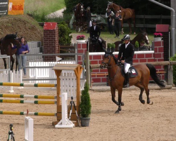 Reitturnier Berching/Opf. 2024