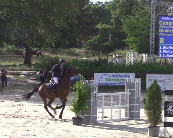 Reitturnier Schönfeld 2024