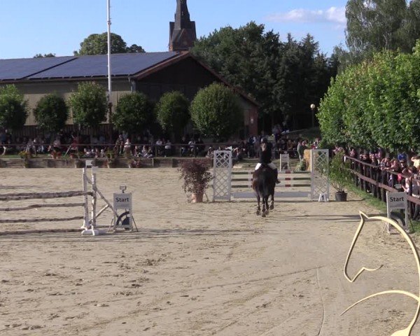 Reitturnier Schönfeld 2024
