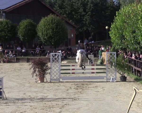 Reitturnier Schönfeld 2024