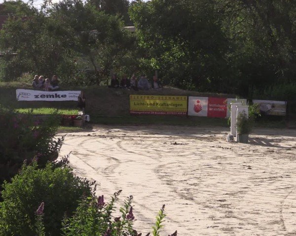 Reitturnier Schönfeld 2024