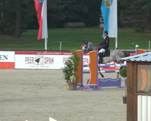 Reitturnier Westergellersen 2021