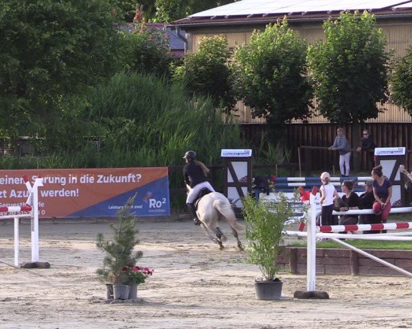 Reitturnier Schönfeld 2024