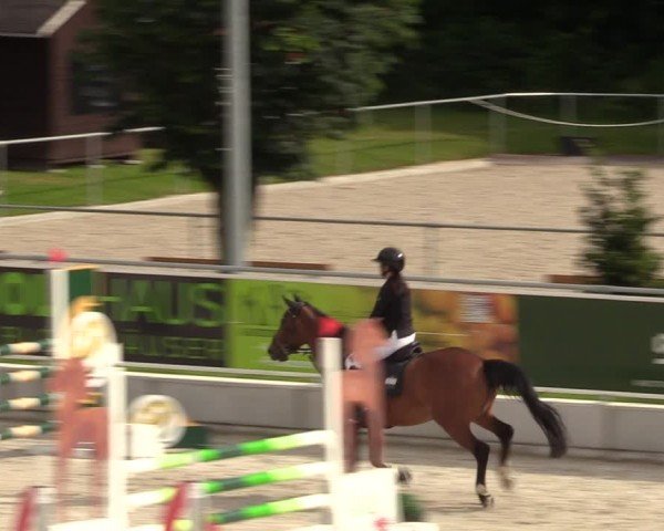 Reitturnier Dorfchemnitz 2024