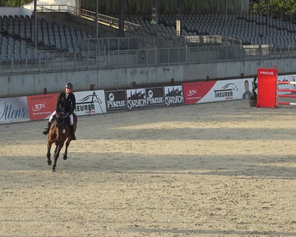 Reitturnier Westergellersen 2021